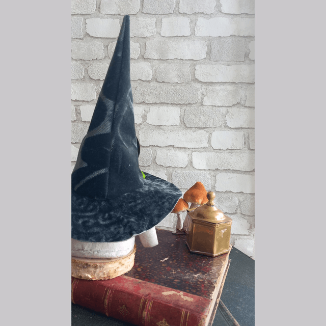 Sorcier Draconus 30 cm environ